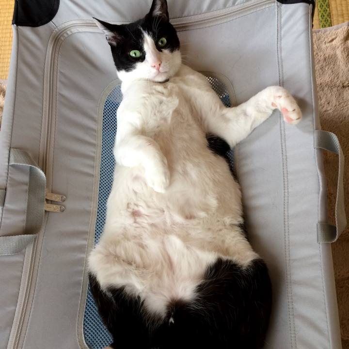 69c29789 9780 4ba3 b930 82489d3a7298