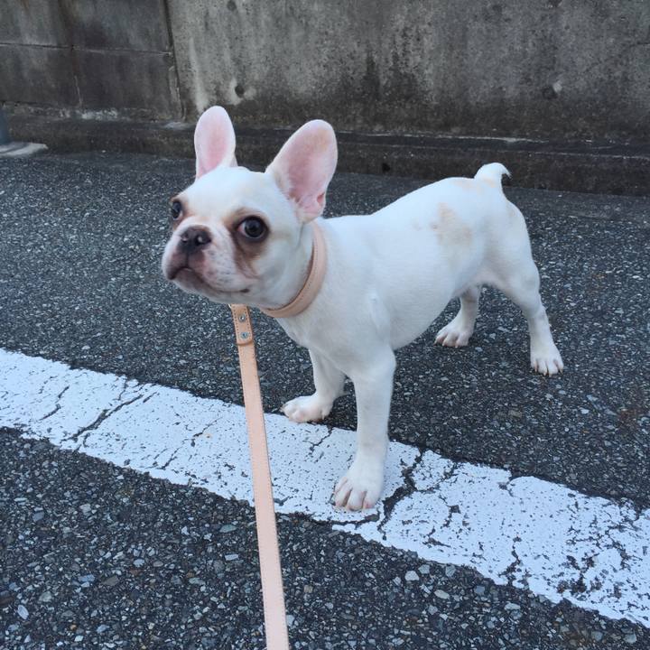 69c2ab8b 4487 49ef afa1 641c2450336d