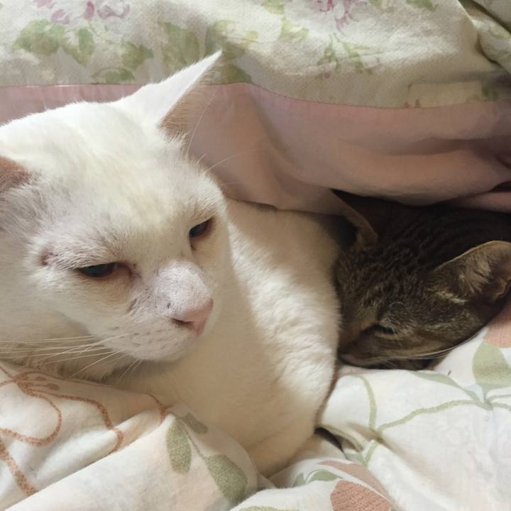 69c33962 986b 41b6 93b0 19336d6874ca