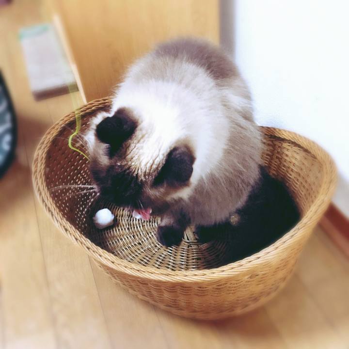 69c34862 cb3a 44fb af18 3a3e502f6d94