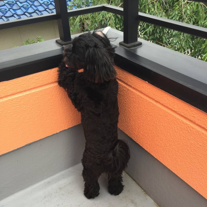 69c37c03 50e3 4ec0 ad68 f224d69922b6