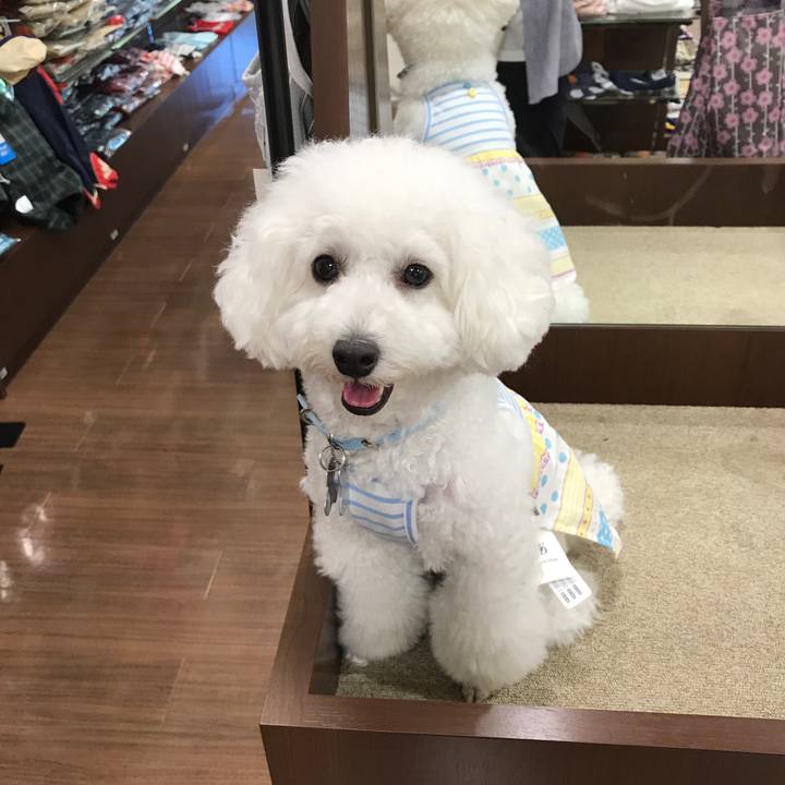 69c37ca9 3d64 44c6 b331 c19b4fc6279c