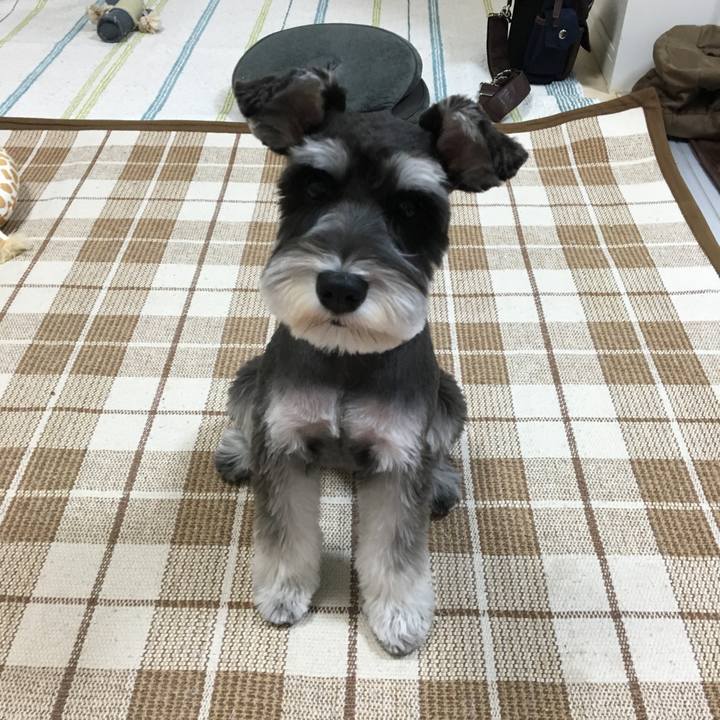 69c3bb4c 12dd 408a a48c 229cf1eef29b