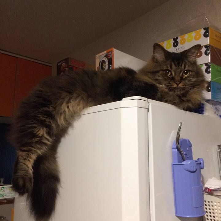 69c5058b c8d7 4992 85e2 034ca0c1df85