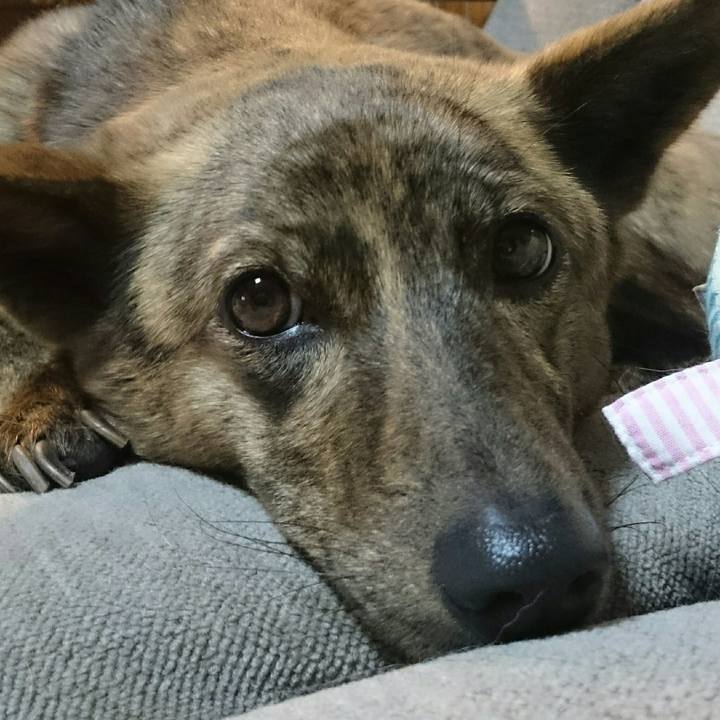 69c52363 4723 4c8d 9534 0b6f949c0830