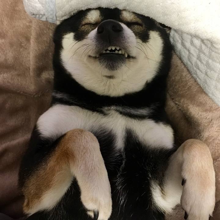 69c66c2c 8765 47b6 8450 1272651cb49e