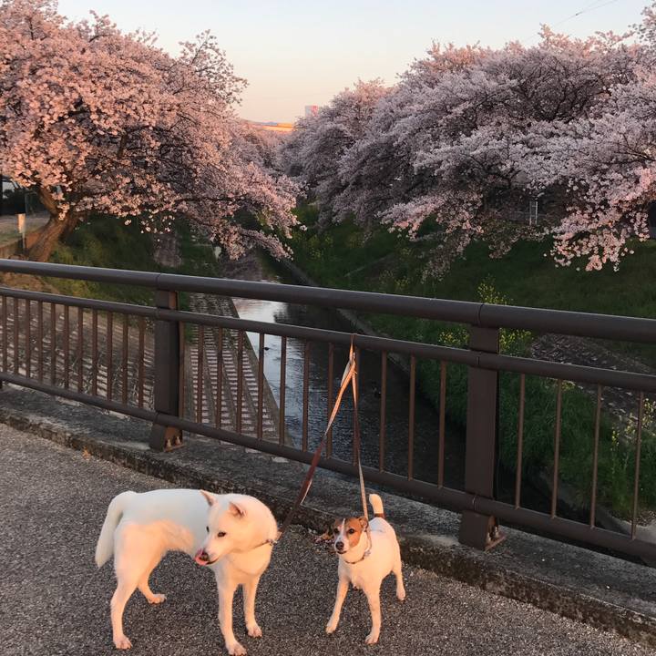 69c75990 3dd6 40eb 8571 cb348a57eb30