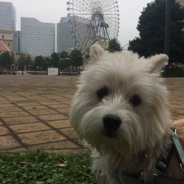 69c7c1ec 5970 418a a1be 0dda946c1168