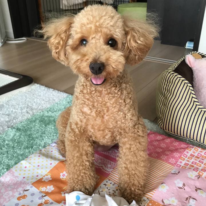 69c7cf95 997d 479c bdc1 60ca872cecc2