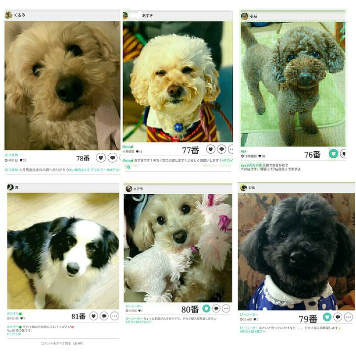 69c886dc 6ffd 4881 9057 5601b68d6d75