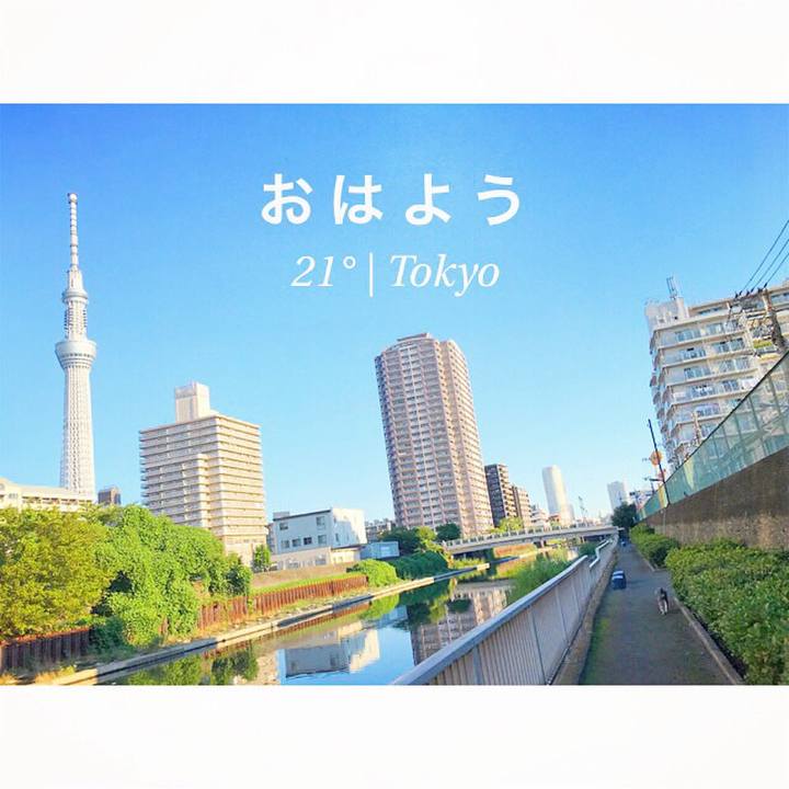 69c8be55 5162 41da 8b4d 75d6d1a689f9