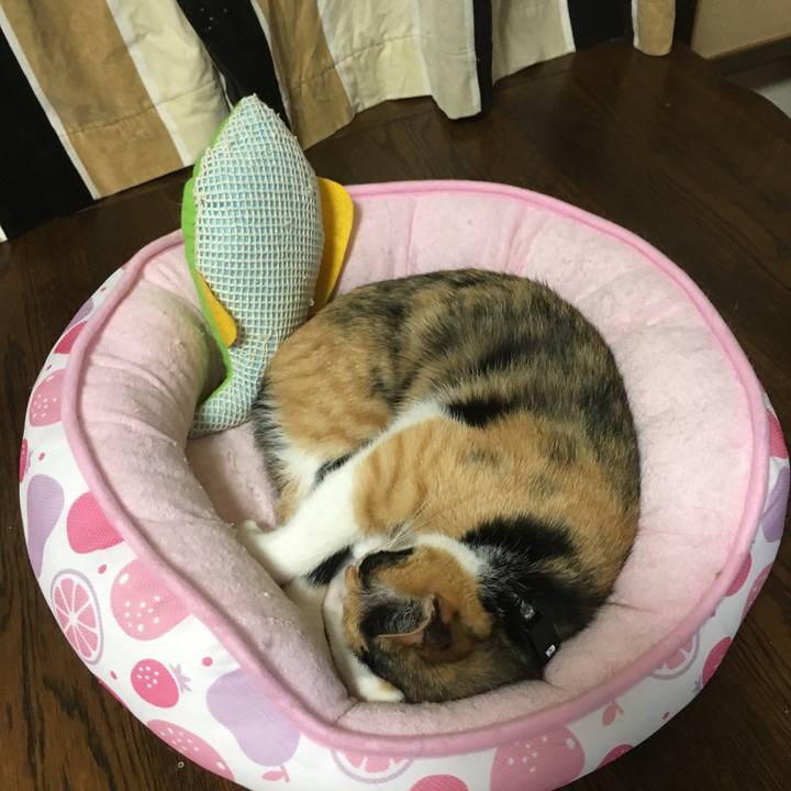 69c92f99 afa7 405b bb73 a6d597677ff1