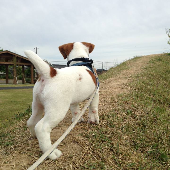 69c99440 27fd 4b14 a097 404e5ecf9457