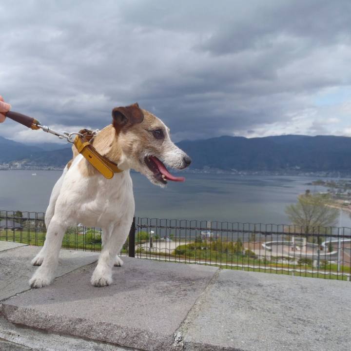 69c9b048 bb2a 42b7 942b 372953116b4d