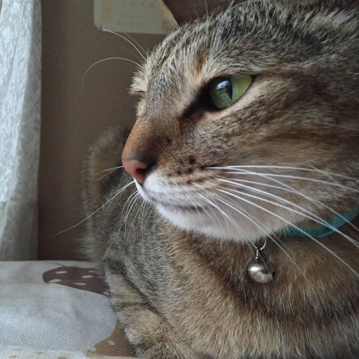 69ca55df 53ac 4dd3 b8b5 47d79d3ce33a