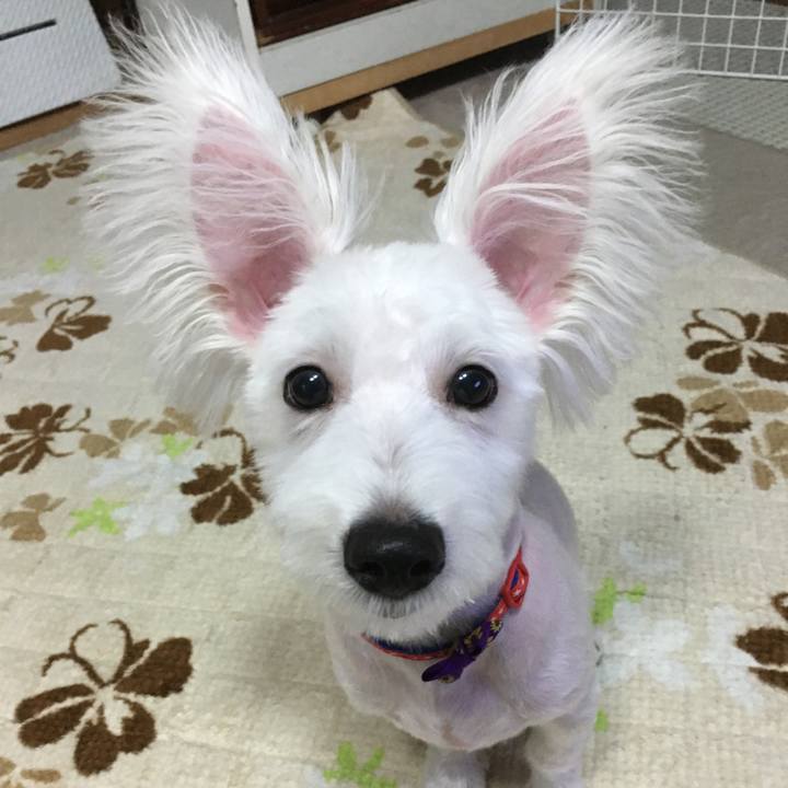 69caa85d 69ad 4648 b78c 3d40d6dfc743