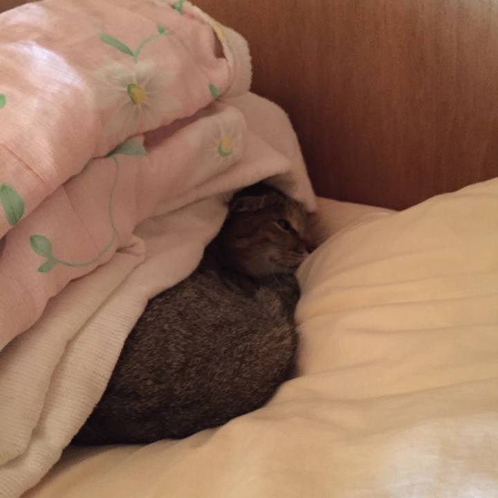 69cb9e6c c229 431a a432 93416f94f1c7