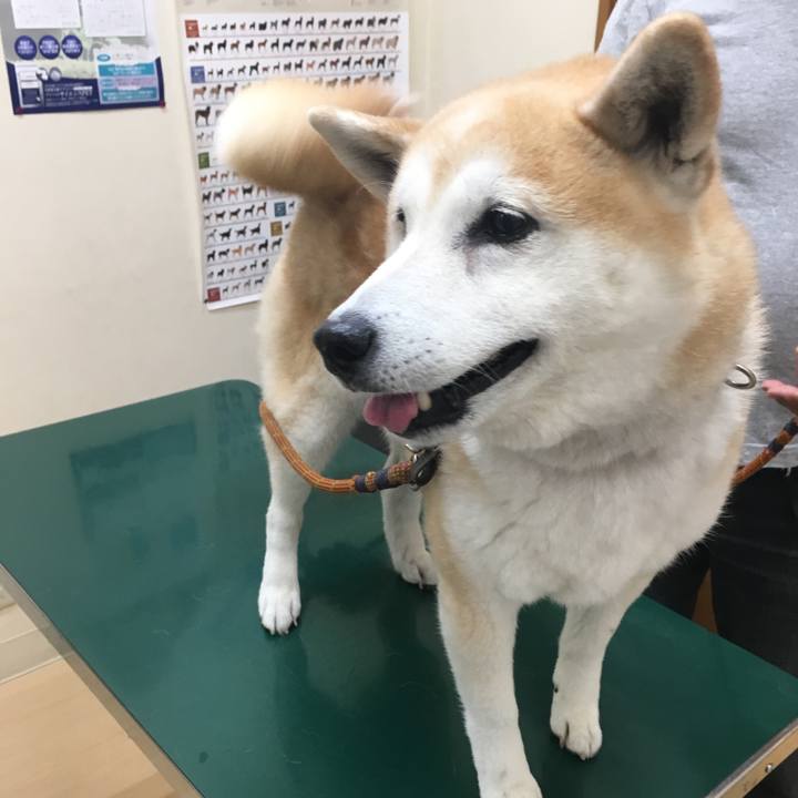 69cbbf80 96cd 486c 95b9 39a64bae7fb4