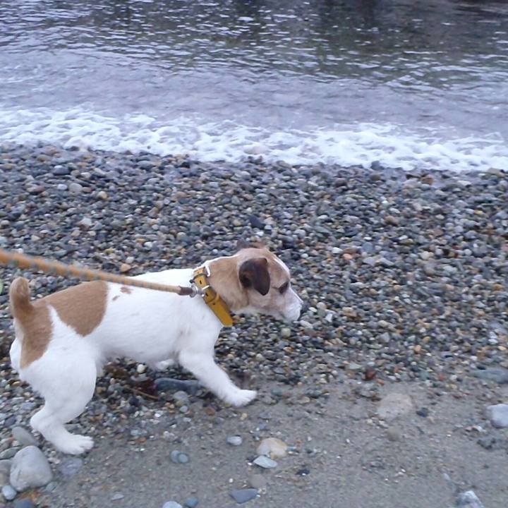 69cbc45a 8cdc 4e97 ae99 c06d0756fba9