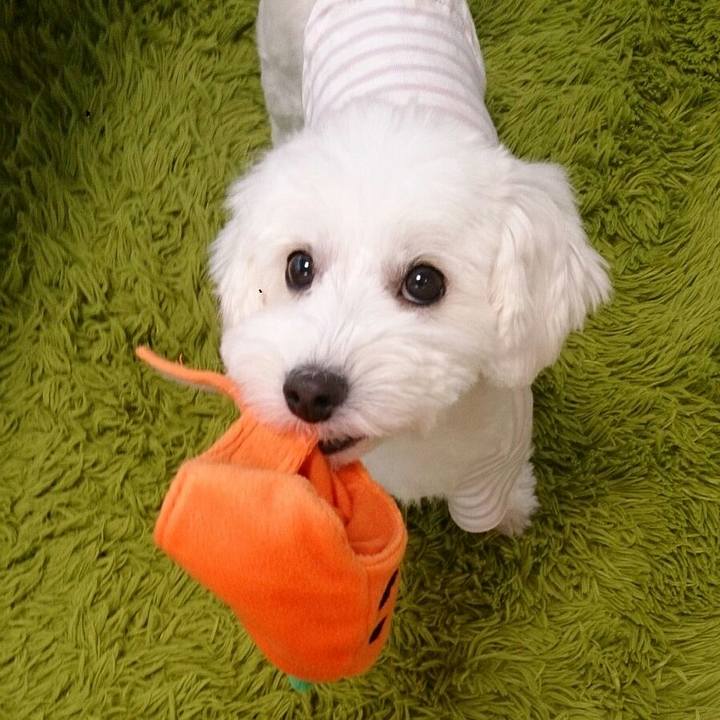 69cbf1f5 aedd 4895 b470 ee26ee8ba317