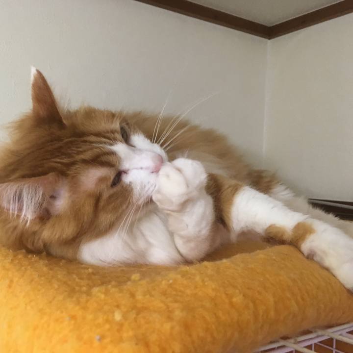 69cc27ba e80a 42a5 a549 3d480dd781fa