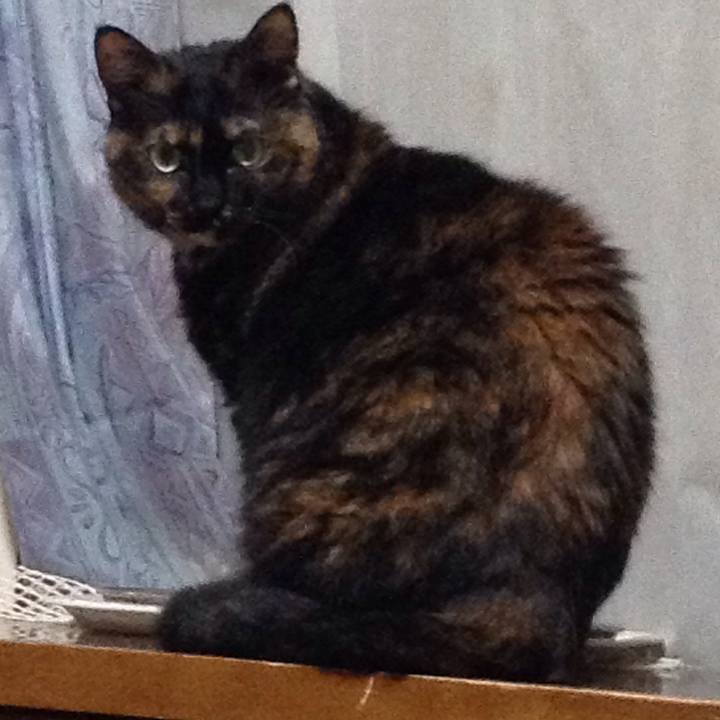 69cc409c bd6e 45a4 a125 30d85899ab31