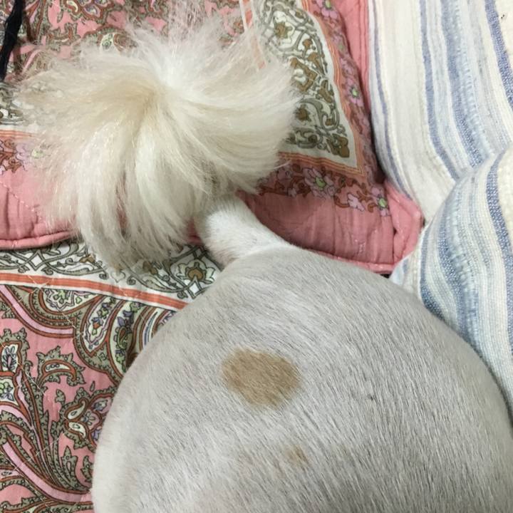 69cccb52 ac9f 4e26 8341 810f3c52b1b5