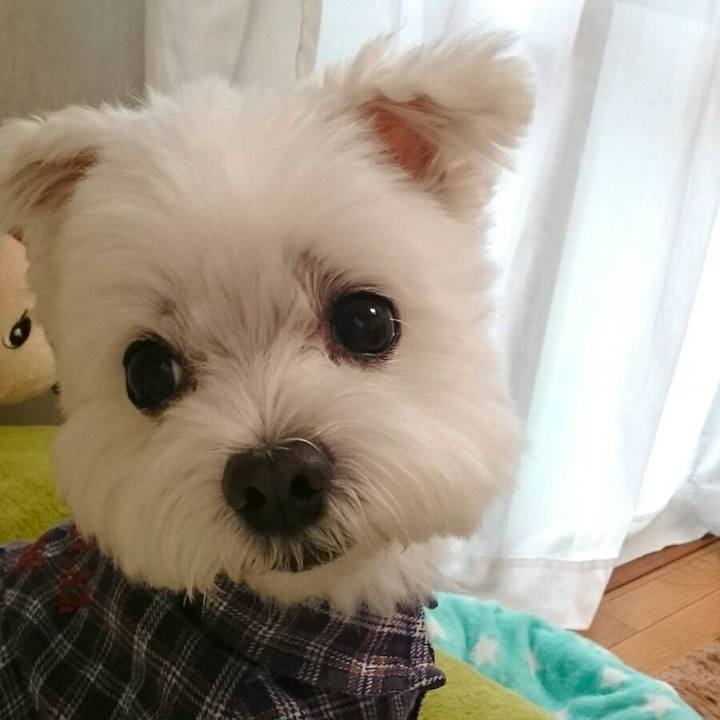 69ccd0a3 6102 47c6 96b2 1c6d216fdfb9