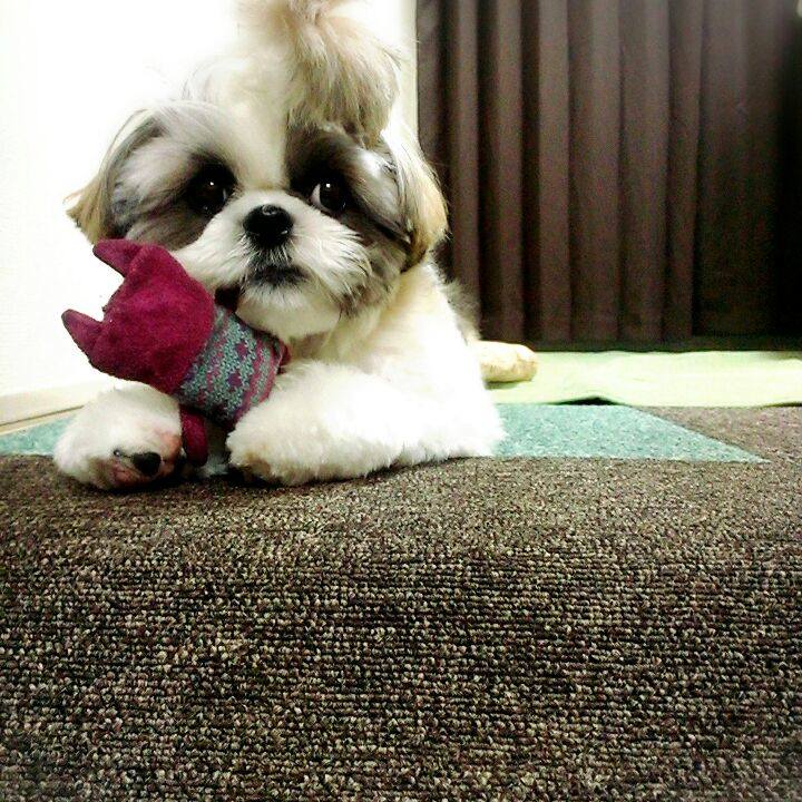 69cd868d 8eba 438b 8c4c 9216764b4833