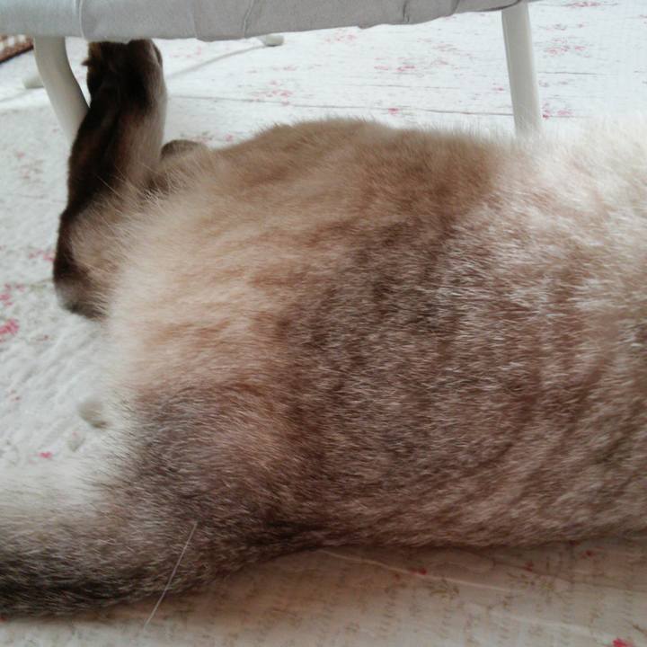 69cda8de 75bb 4b92 8e0d 9441e3680074