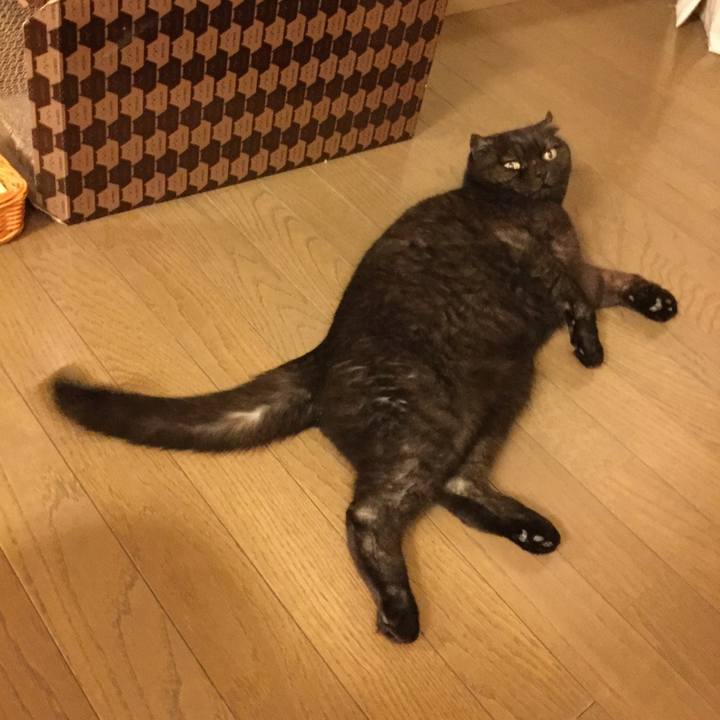 69ce685c 74ec 4126 99b9 3688af0b43a1