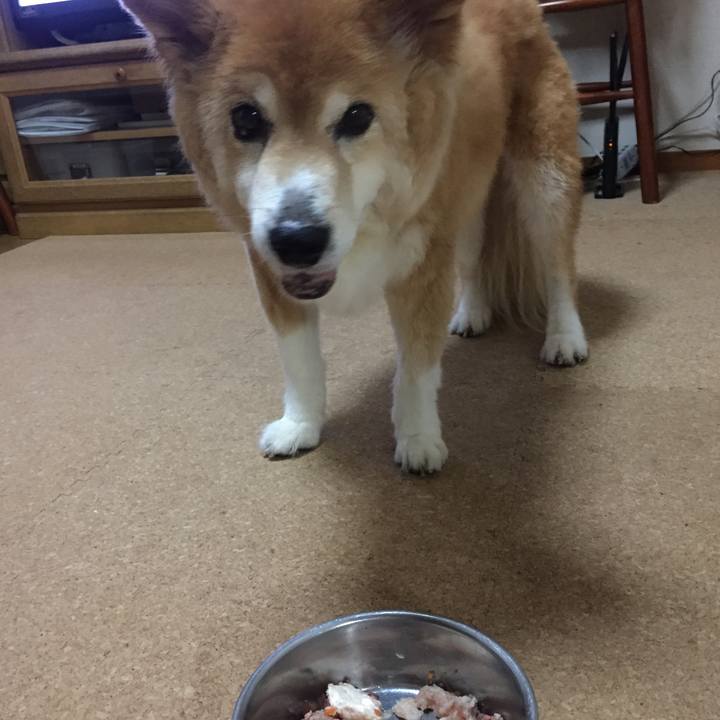 69ce92ba b294 489e 97b7 afaf58ad6392