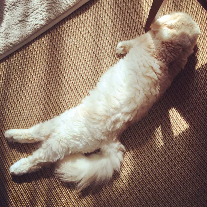 69cf2db2 fbb4 42f1 9c53 7dbab7c6a17c