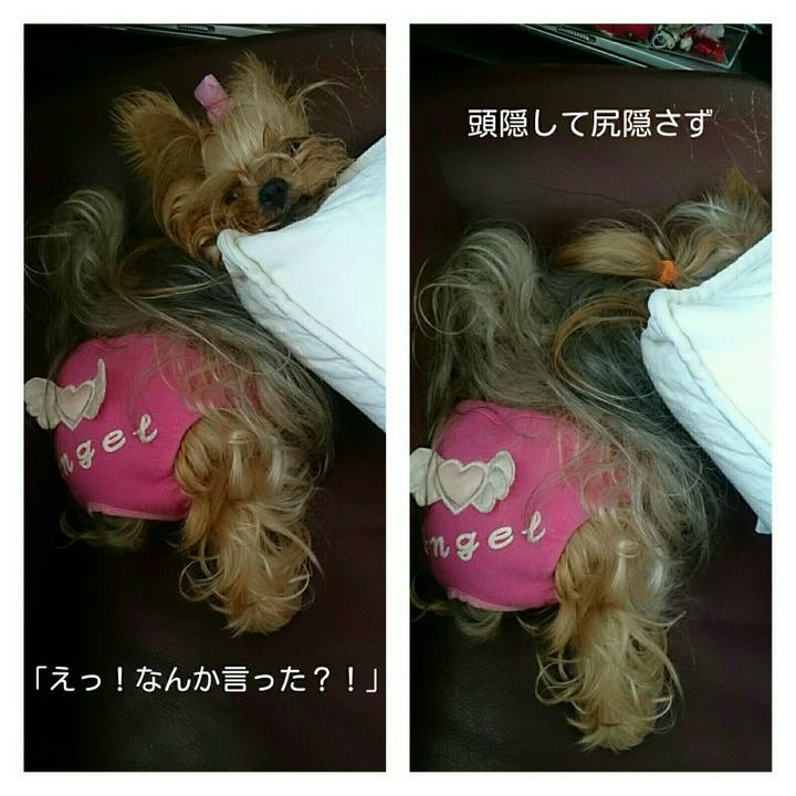 69cf95d4 669f 4661 acba 83f31ec19b8f