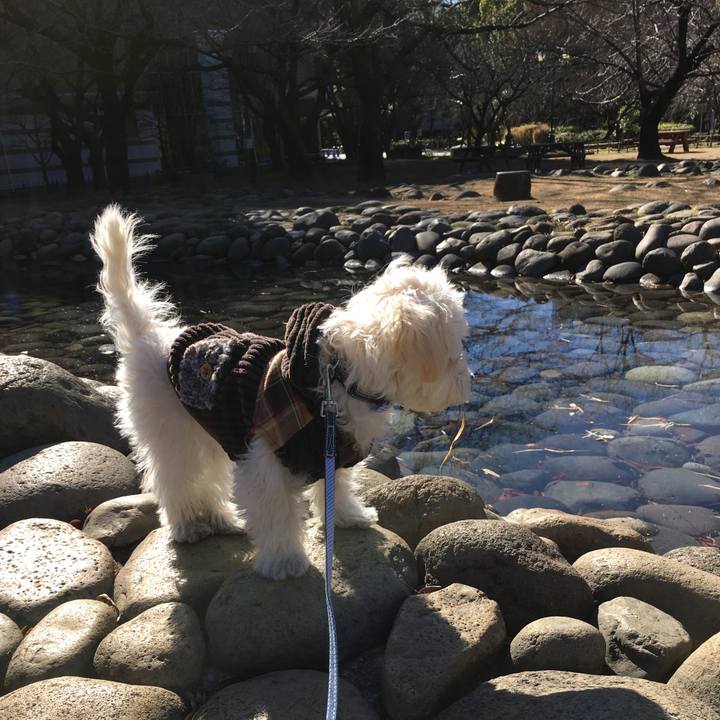 69cff898 0dba 402e a30c 4c2c7c64511b