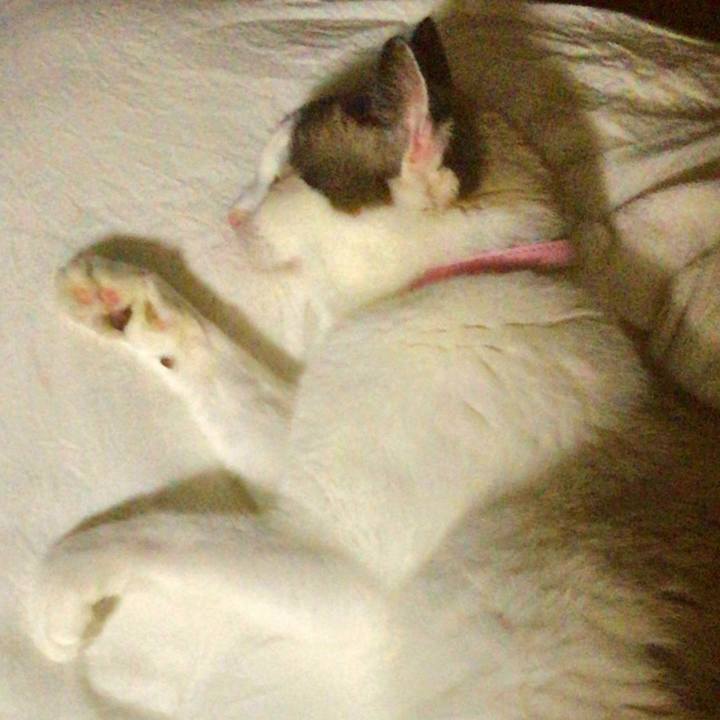 69d05e93 519e 4fae 86ec 09cda21d5c28