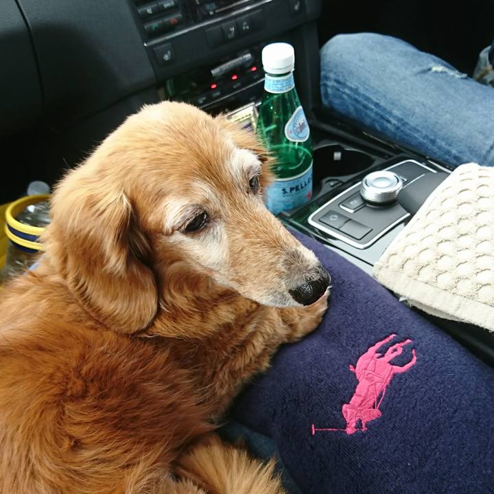 69d08aa8 3db8 48b7 b899 19377086d48f