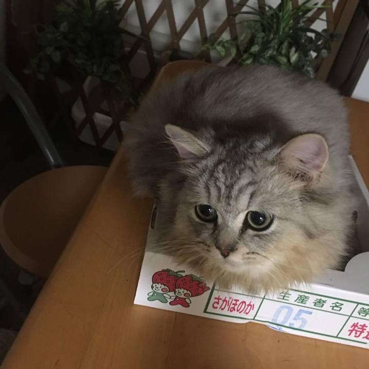 69d0aeb9 2be2 4083 aa73 8760959c4cff