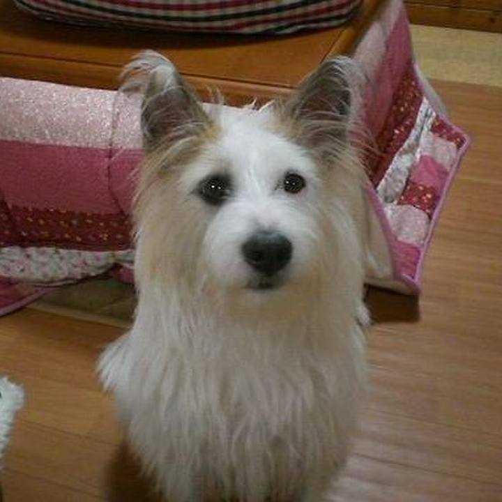 69d10621 5c5f 4ea9 ae3a 7e76f295a36d