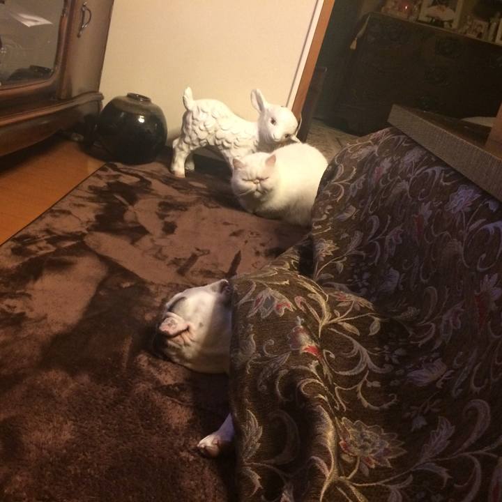 69d10dfd 8854 4624 bc00 10947ca76bff