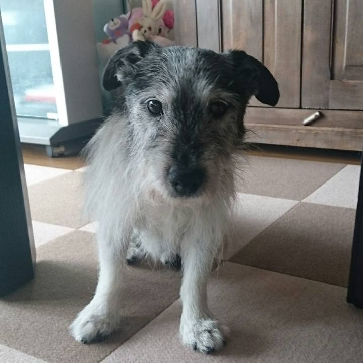 69d21a78 dc60 46a9 8e5d 9db5d25009c8