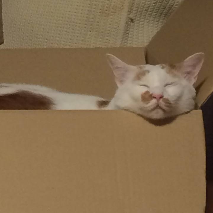 69d27a56 ee4f 4245 a96e d3b0c457fdaa