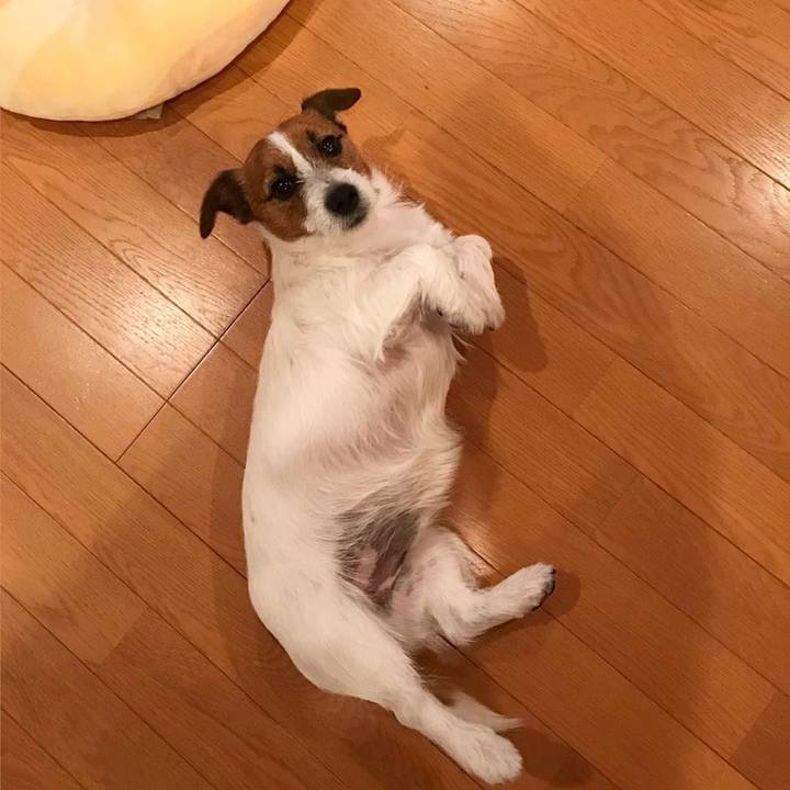 69d2ba68 3f39 4052 8262 537f377ab1db