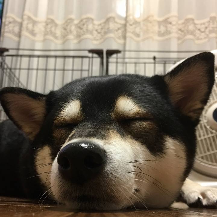 69d2d770 ff7d 4db8 8a4e 4b6d293f96c7