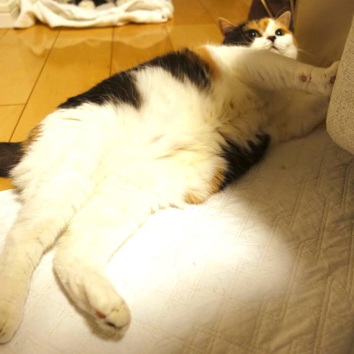 69d3817b cb5d 45e9 902b 661fb2153820