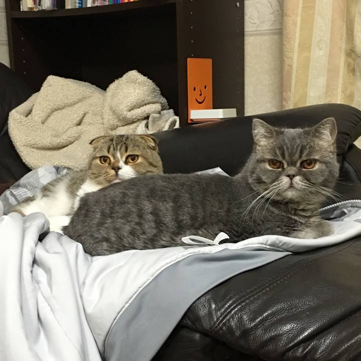 69d3f1b7 3ea8 4a6e 8364 cd1875a08b4f