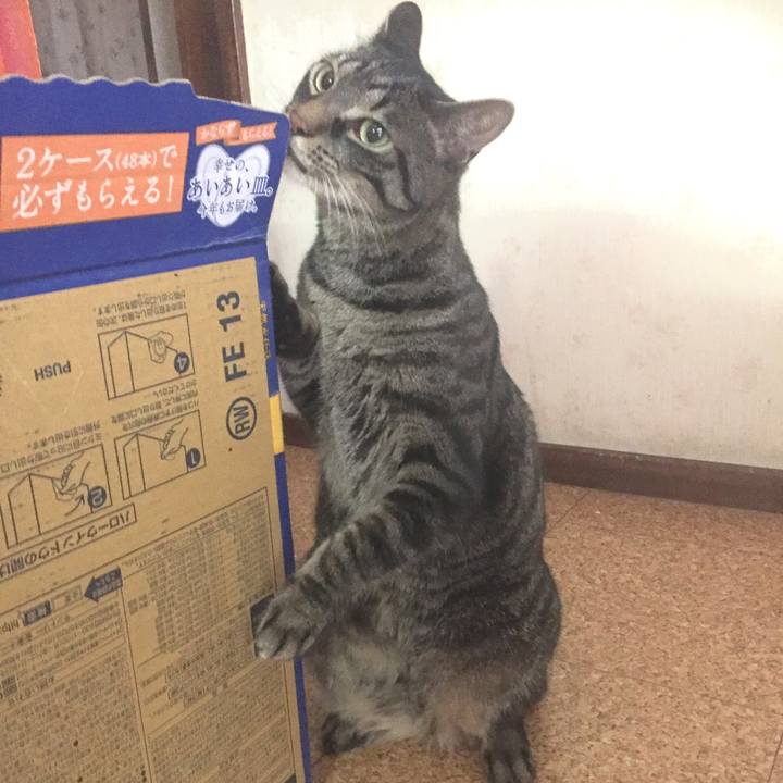 69d465de a380 4495 b434 4d8e810e8905