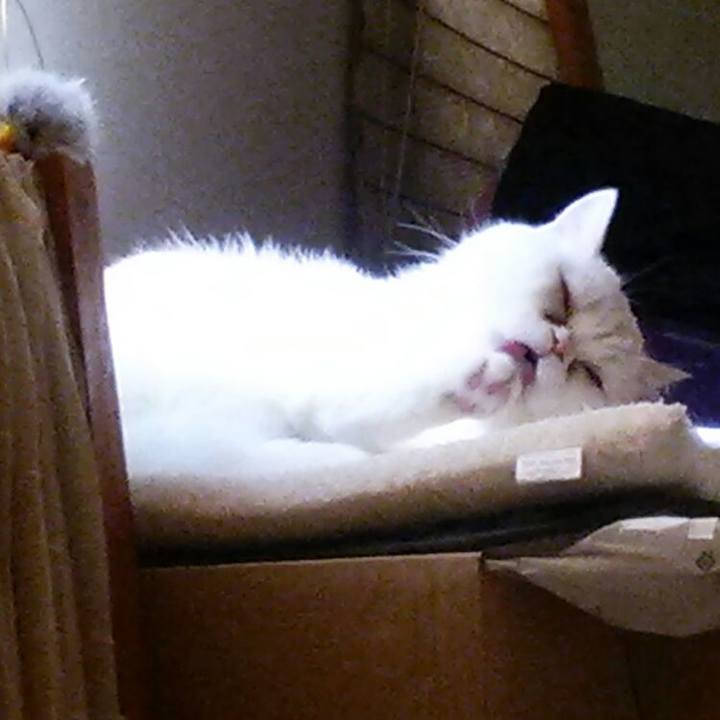 69d4fb08 6da0 4325 82a9 979f74767803