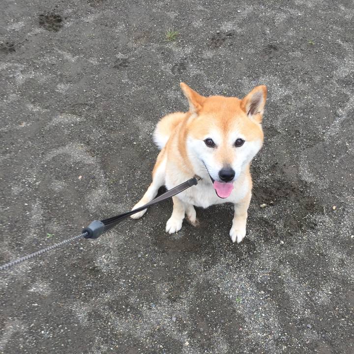 69d4fe62 e21a 4b78 afe2 111c51ac5a9a