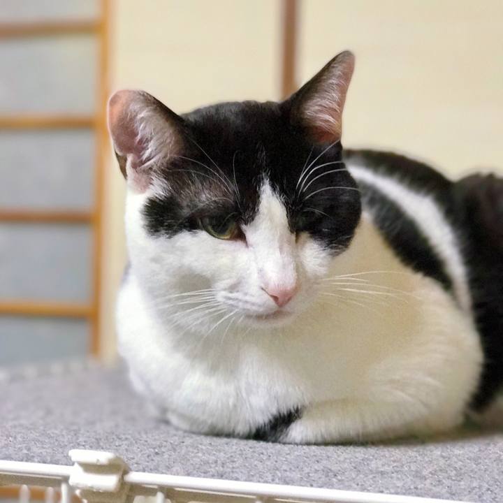 69d594f1 02b8 4188 99b4 23852e39a424